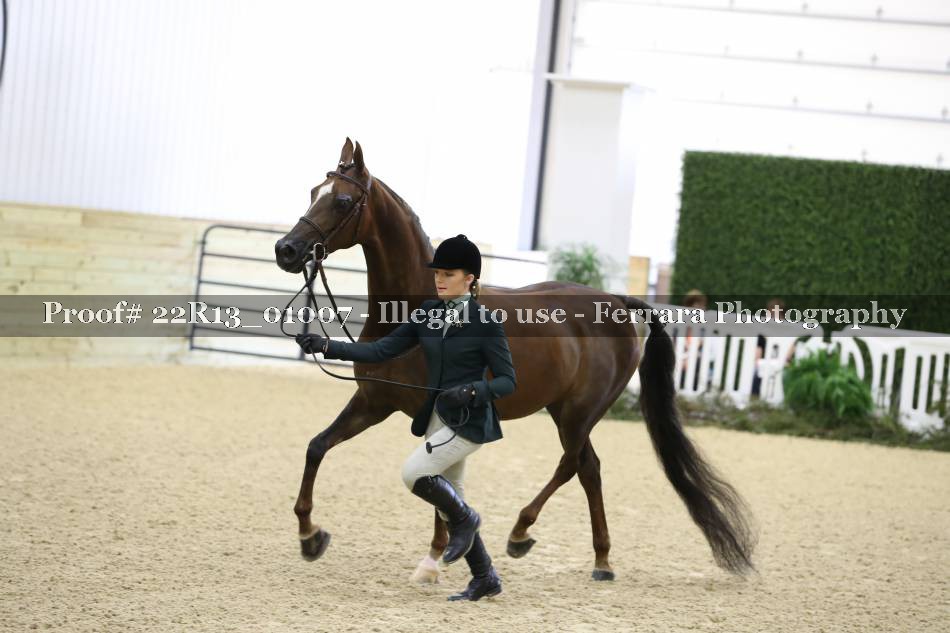 Proof 22R13_01007