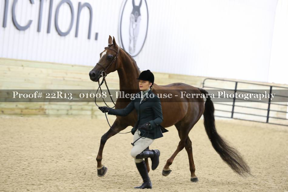 Proof 22R13_01008