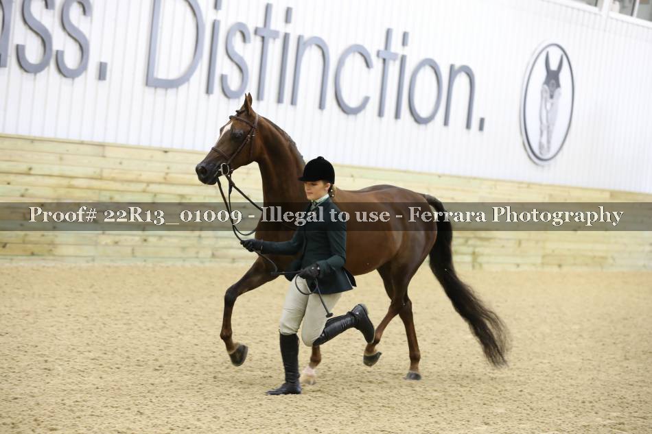 Proof 22R13_01009