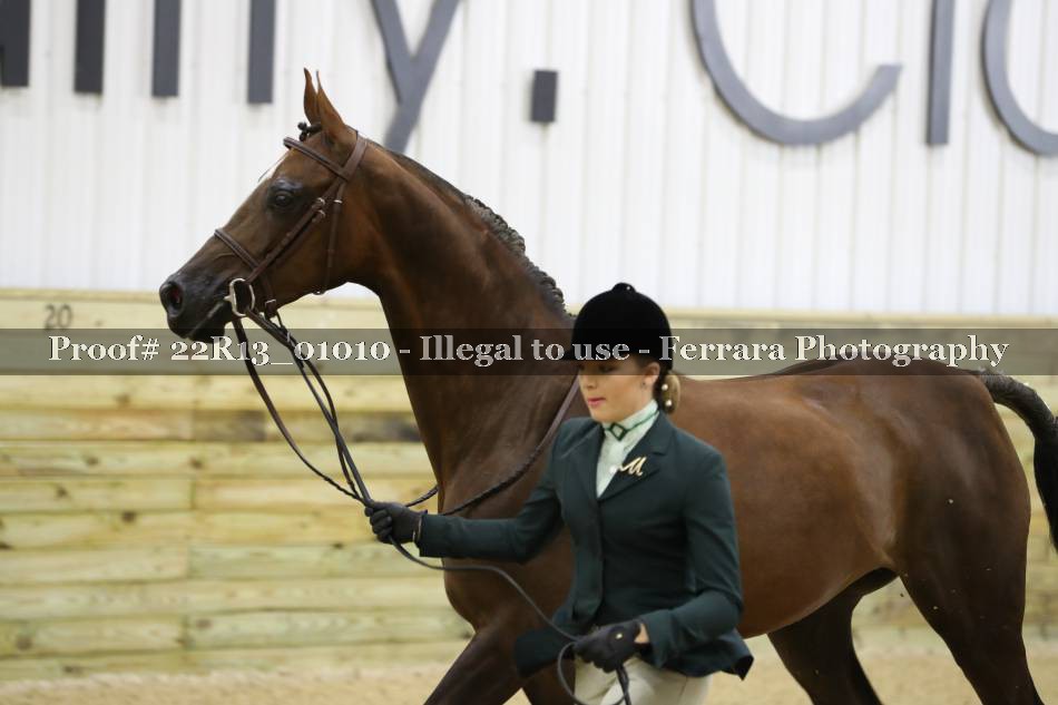 Proof 22R13_01010