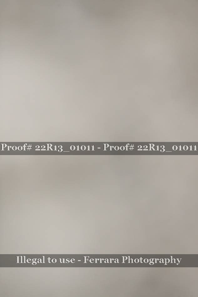 Proof 22R13_01011
