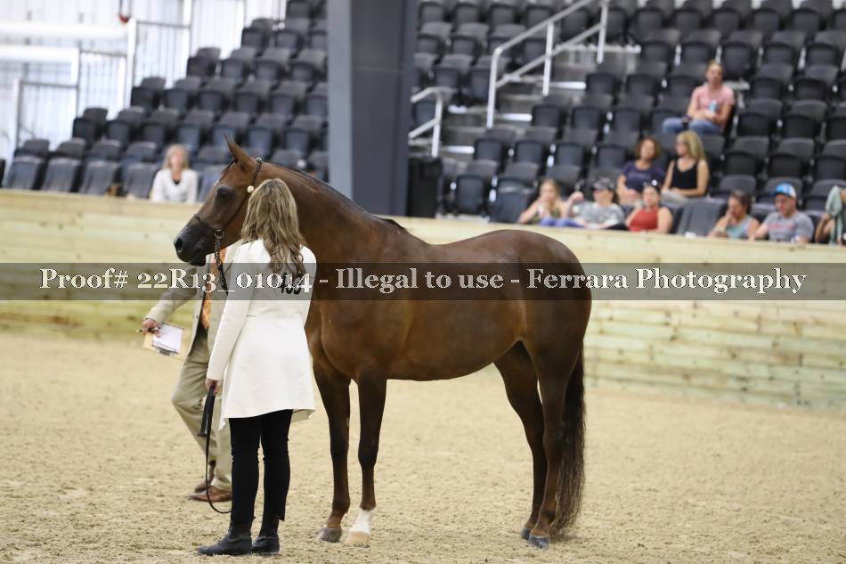 Proof 22R13_01014
