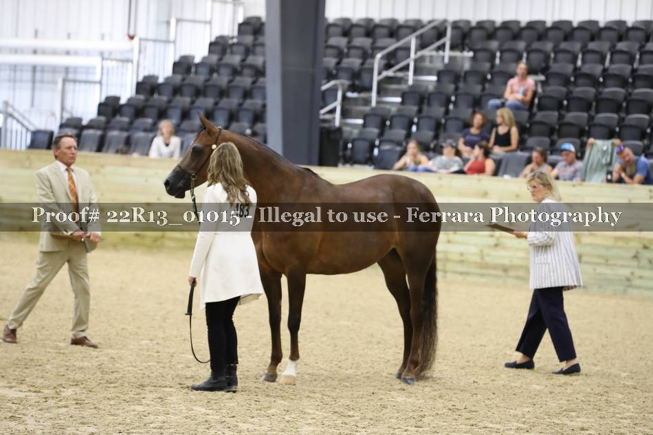 Proof 22R13_01015