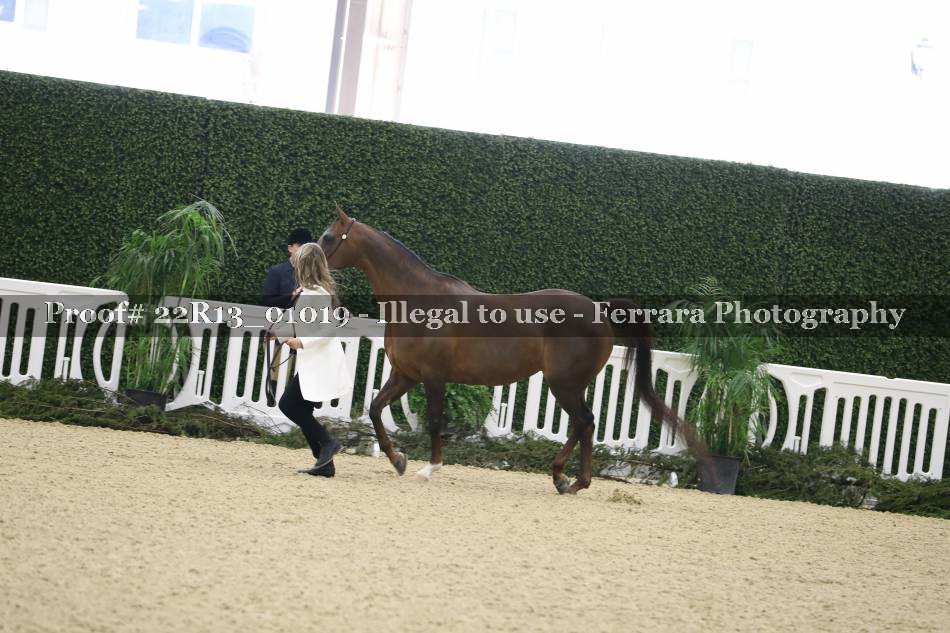 Proof 22R13_01019