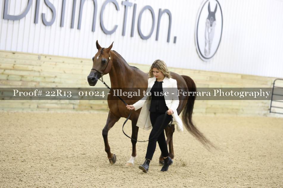 Proof 22R13_01024