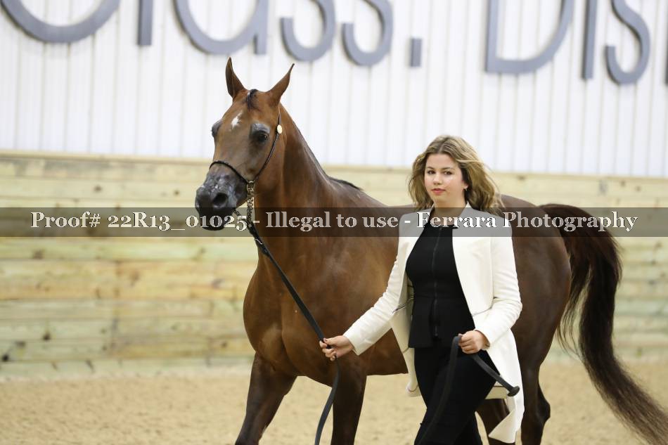 Proof 22R13_01025