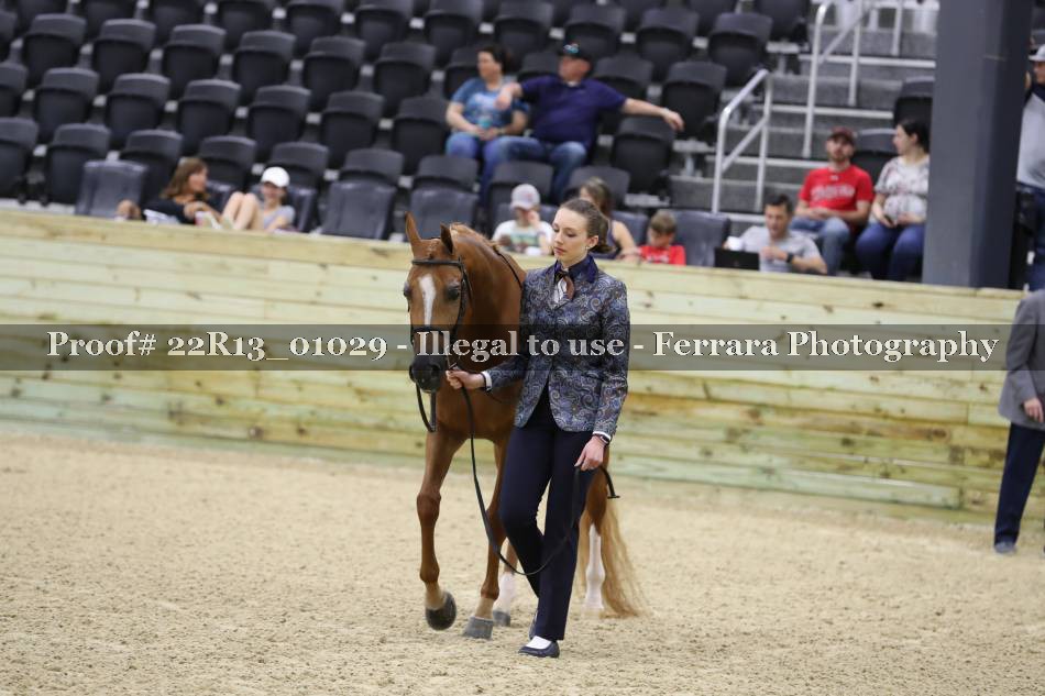 Proof 22R13_01029