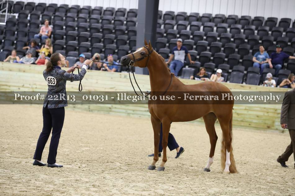 Proof 22R13_01031