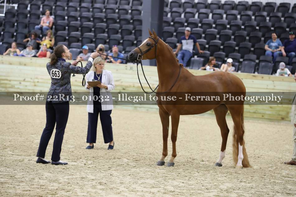 Proof 22R13_01032