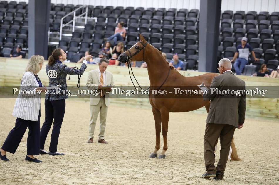 Proof 22R13_01034