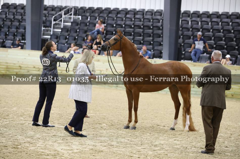 Proof 22R13_01035