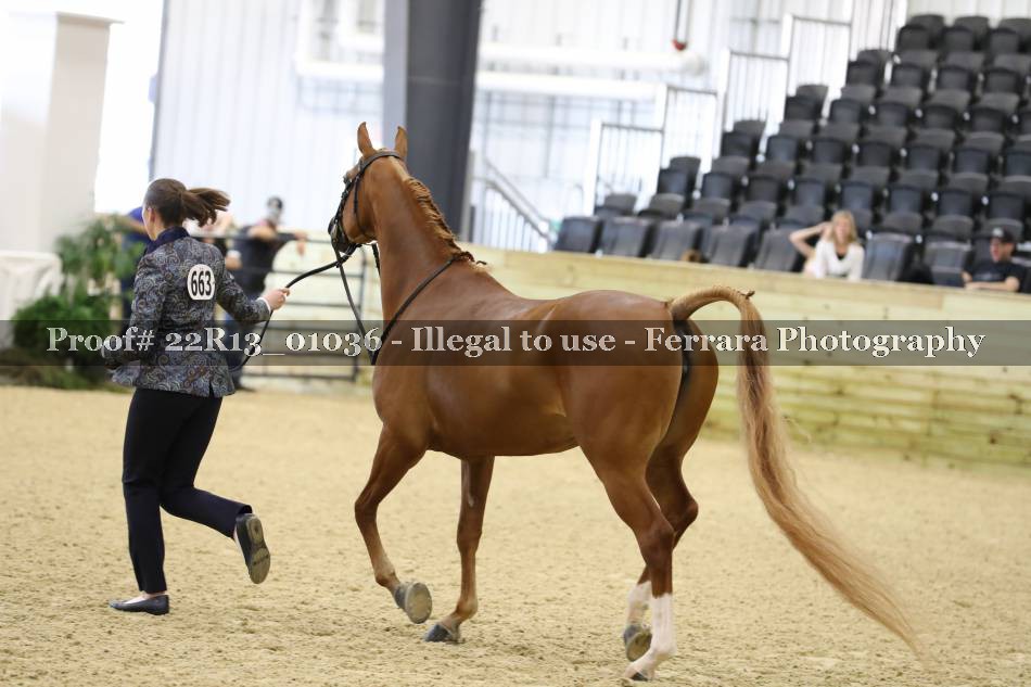 Proof 22R13_01036