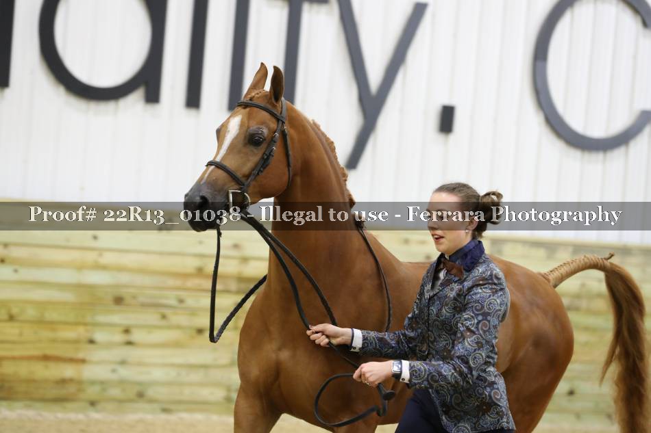 Proof 22R13_01038