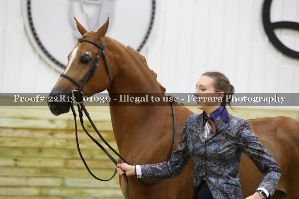 Proof 22R13_01039