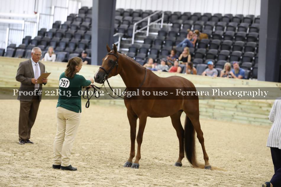 Proof 22R13_01042