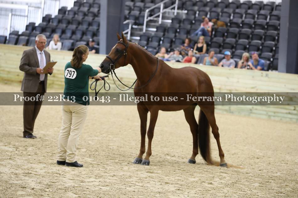 Proof 22R13_01043