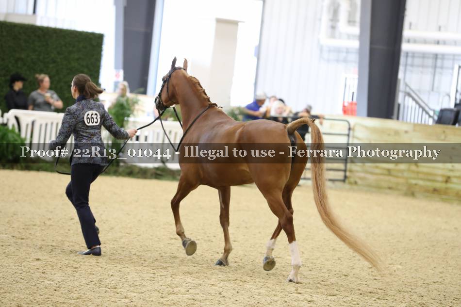 Proof 22R13_01044