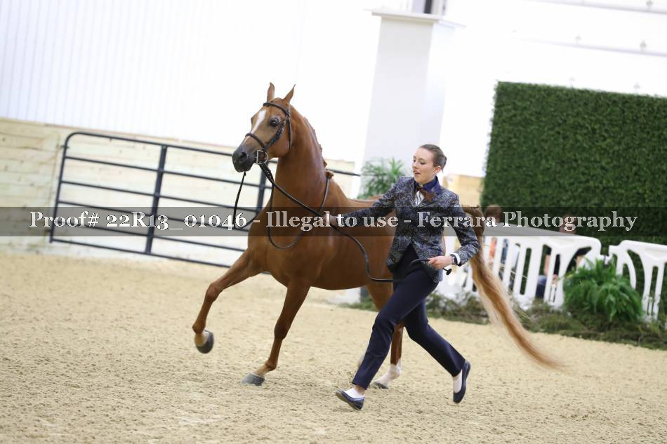 Proof 22R13_01046