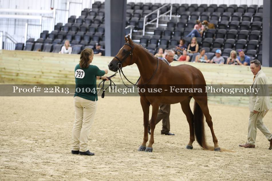Proof 22R13_01047