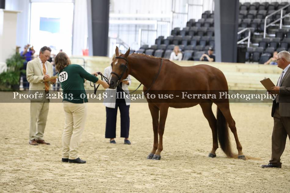 Proof 22R13_01048
