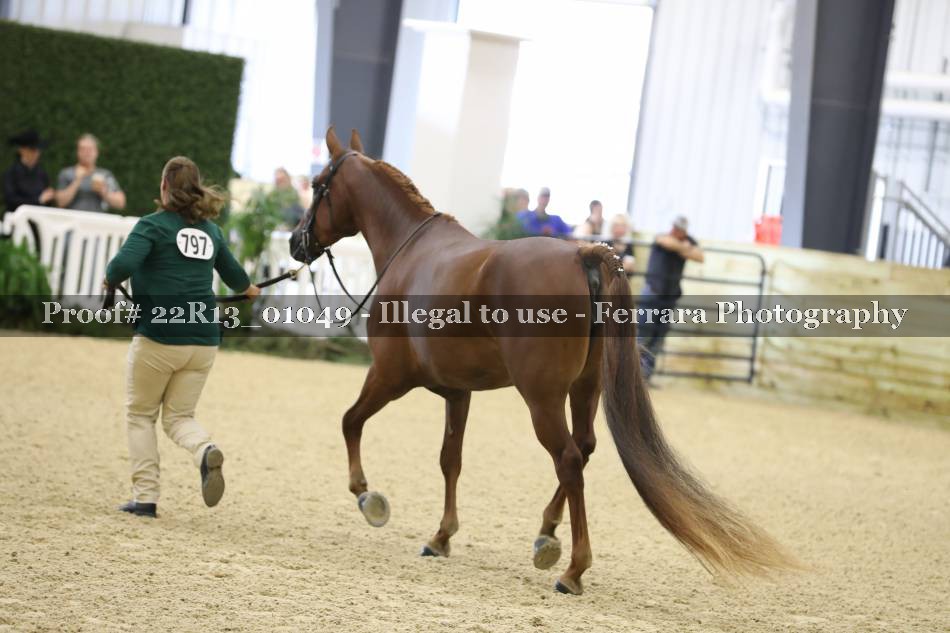 Proof 22R13_01049
