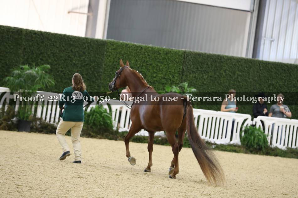 Proof 22R13_01050