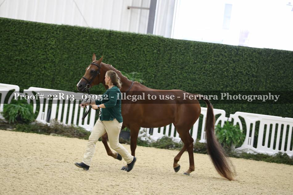 Proof 22R13_01052