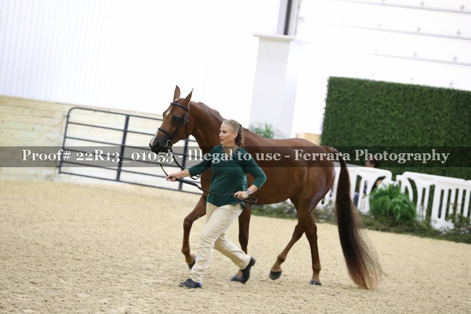 Proof 22R13_01053