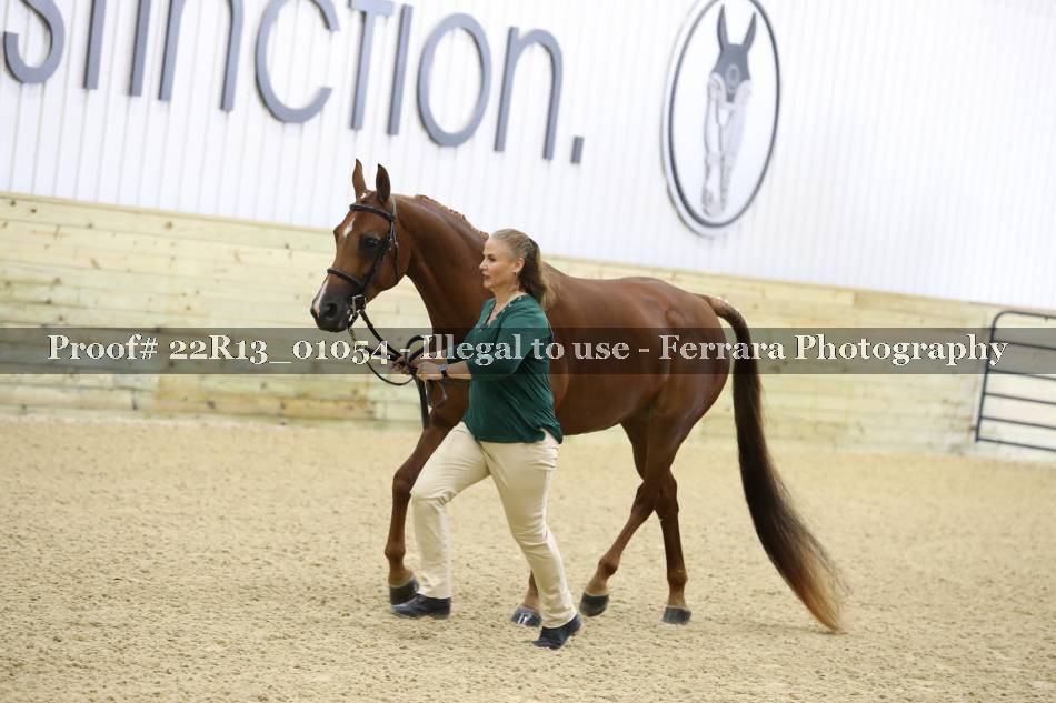 Proof 22R13_01054