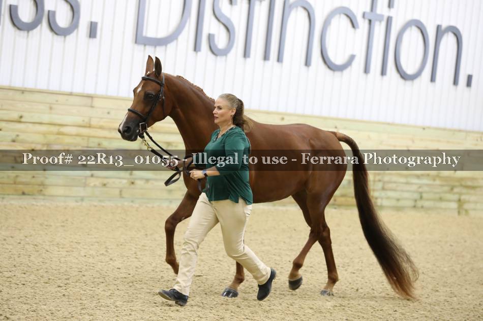 Proof 22R13_01055
