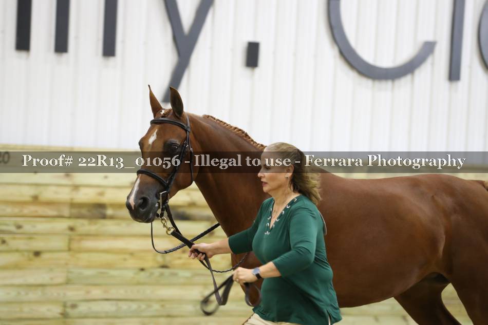 Proof 22R13_01056