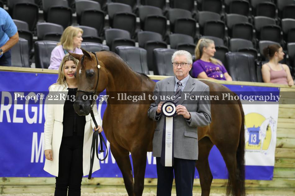 Proof 22R13_01057