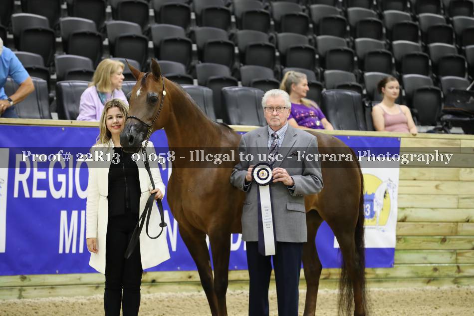 Proof 22R13_01058