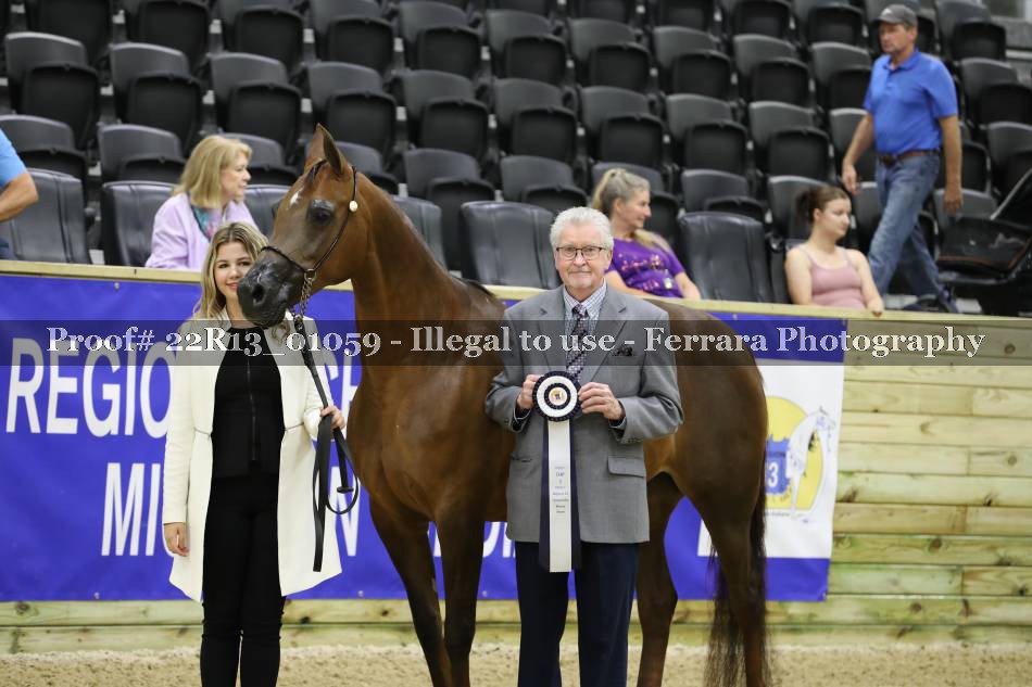 Proof 22R13_01059