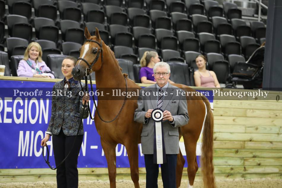 Proof 22R13_01061