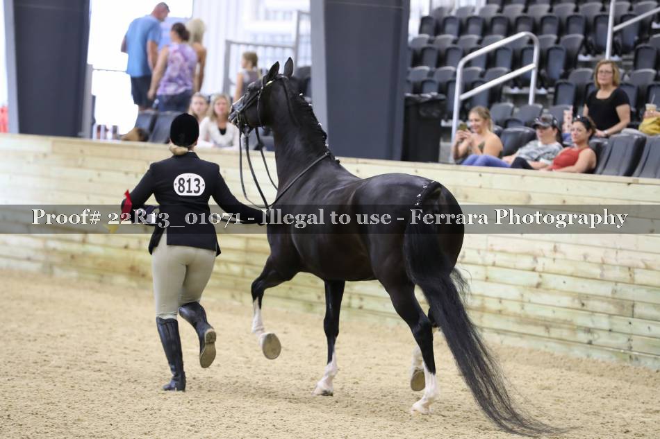 Proof 22R13_01071