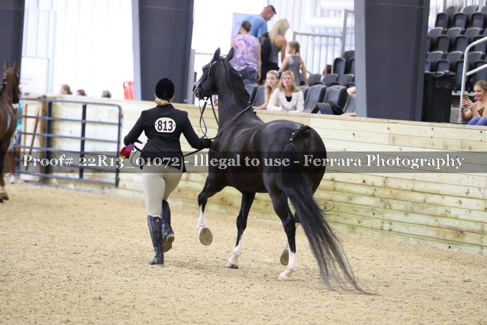 Proof 22R13_01072
