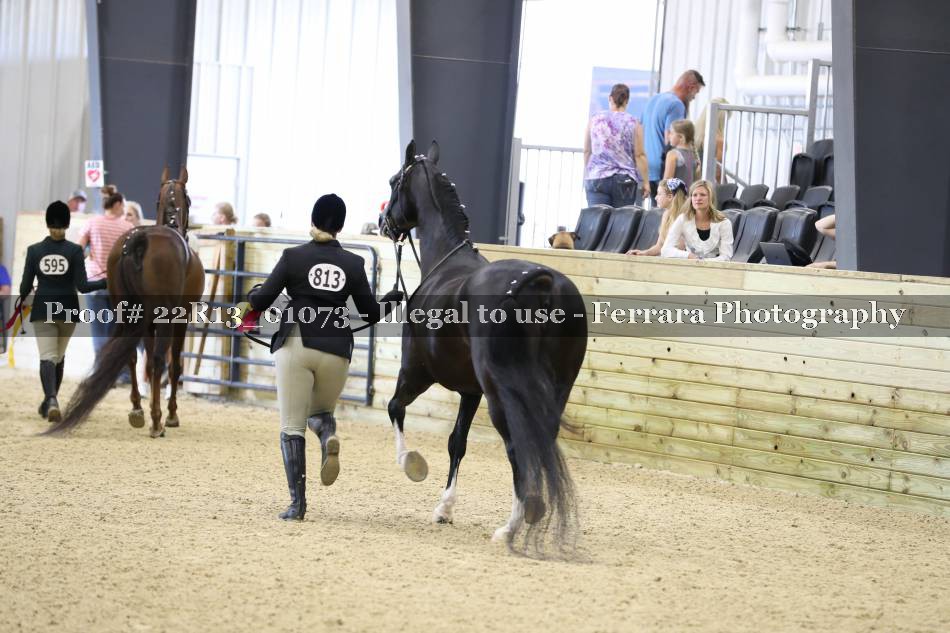 Proof 22R13_01073