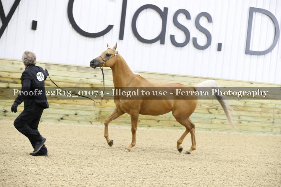 Proof 22R13_01074