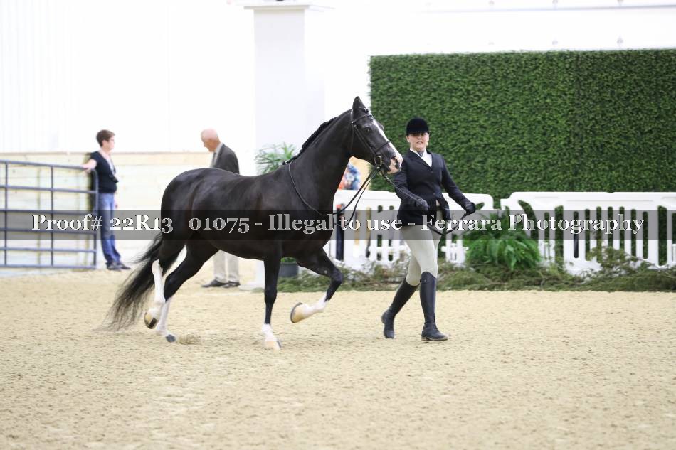 Proof 22R13_01075