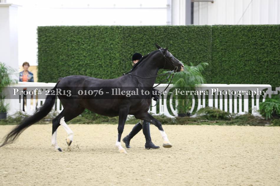 Proof 22R13_01076