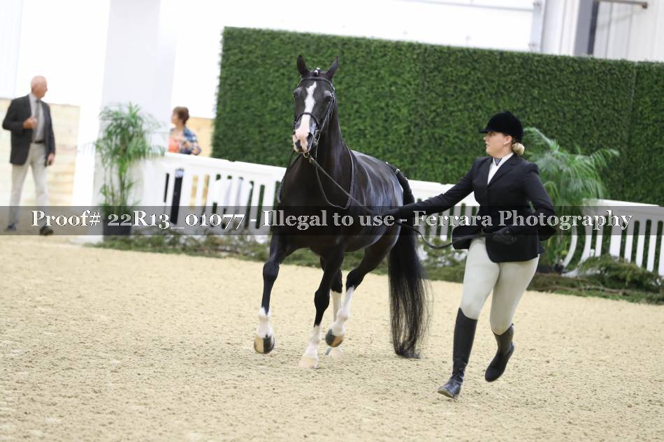 Proof 22R13_01077