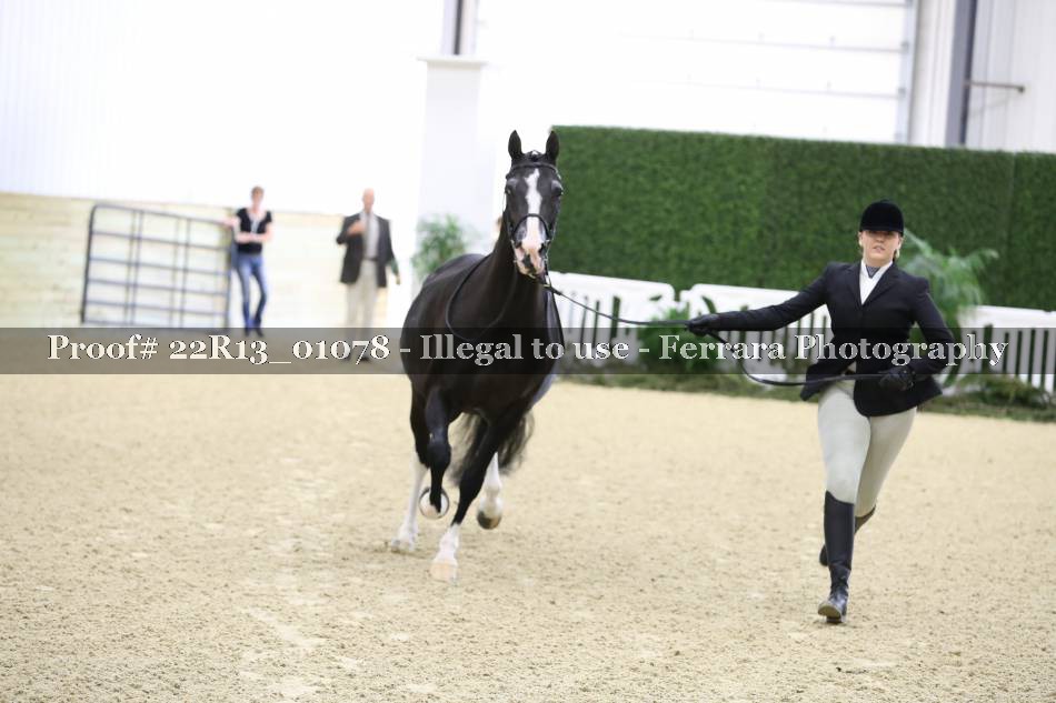 Proof 22R13_01078