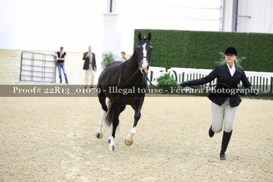 Proof 22R13_01079