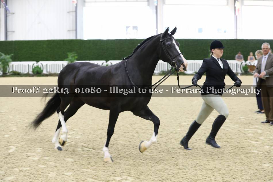 Proof 22R13_01080