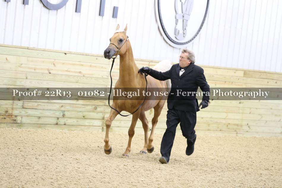 Proof 22R13_01082