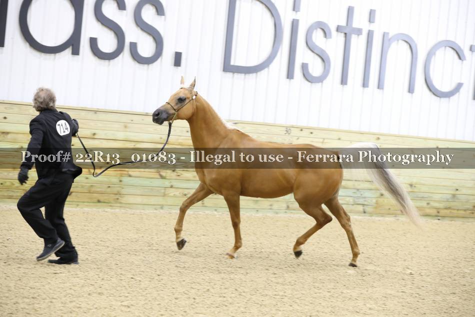 Proof 22R13_01083
