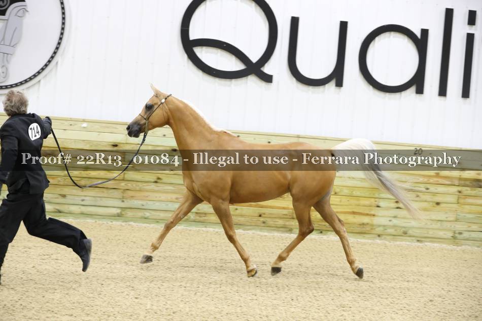 Proof 22R13_01084