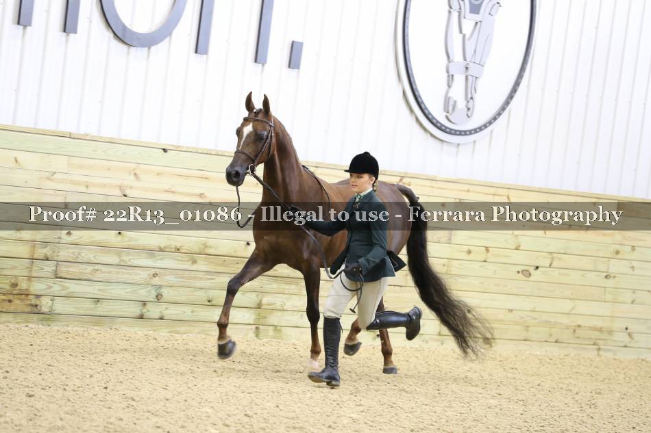 Proof 22R13_01086