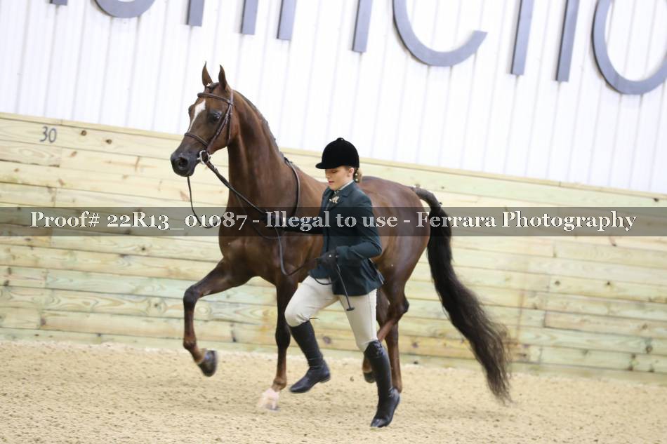 Proof 22R13_01087